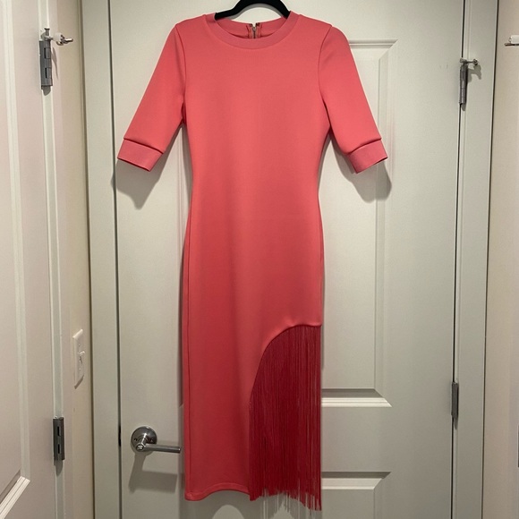 Alice + Olivia Dresses & Skirts - NWT Alice + Olivia Keanna Asymmetrical Fringe Dress in Calypso Pink